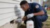 mosquito dunks methoprene pests