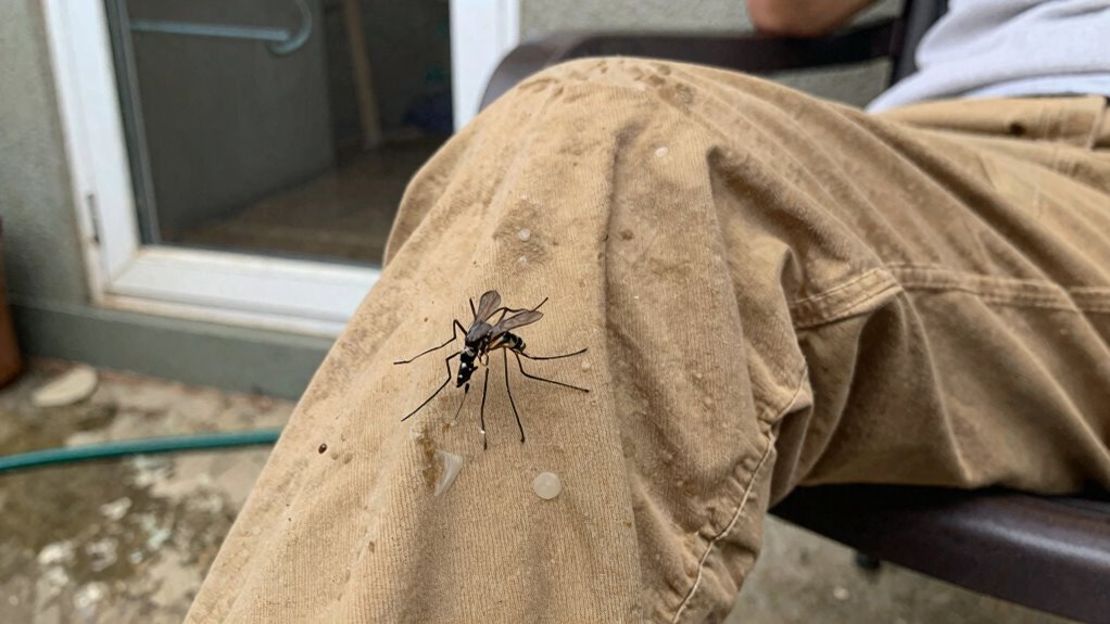 permethrin treated clothing protection