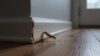 termite damage inspection guide
