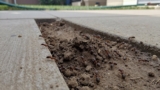 How to Get Rid of Ants in the Yard