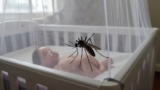 How to Protect a Baby From Mosquitoes
