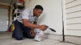 Effective Bed Bug Sprays That Keep Pesky Guests Away