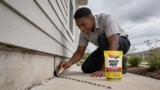 Effective Boric Acid Ant Killers That Eliminate Pests Naturally