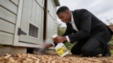Effective Capsaicin Repellents That Keep Squirrels and Rabbits Away
