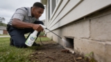 Effective Centipede Repellents That Keep Pesky Intruders Away