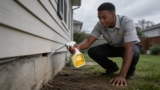 Effective Centipede Sprays That Keep Pests at Bay