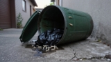 How to Clean a Garbage Can After Maggots