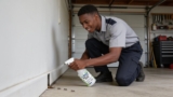 Effective Crawling Bug Repellents to Keep Pests At Bay