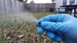 Does DEET Repel Ticks?
