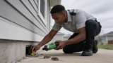 Effective Diphacinone Mouse Baits That Keep Rodents at Bay