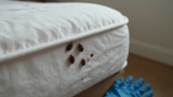 How to Get Rid of Bed Bugs Without an Exterminator