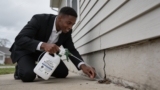 Effective Bird Mite Treatments That Eliminate Pesky Invaders