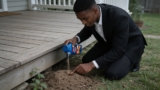 Effective Fire Ant Killers That Keep Your Yard Ant-Free