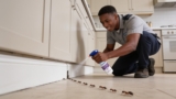 Effective Kitchen Bug Sprays That Keep Pesky Pests Away