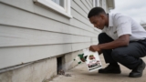 Effective Mouse Repellent Sprays That Keep Unwanted Visitors Away