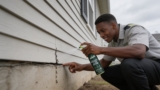 Effective Essential Oil Bug Repellents That Keep Insects Away
