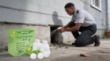 Effective Peppermint Oil Rodent Repellents That Keep Pests Away