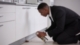 Effective Roach Foggers That Guarantee a Pest-Free Home