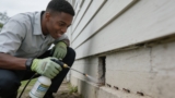 Effective Solar Bug Zappers That Keep Pests Away Naturally