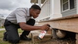 Effective Wasp Sprays That Keep Your Outdoor Spaces Wasp-Free
