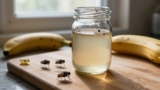 How to Prevent Fruit Flies