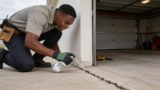 Top Garage Bug Repellents That Keep Pests Outdoors