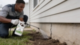 Effective Grasshopper Repellent Sprays That Protect Your Lawn