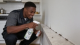 Effective Ant Repellents That Keep Kitchens Bug-Free