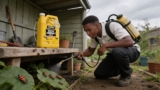 Effective Spotted Lanternfly Sprays That Protect Your Garden