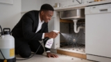 Effective Mite Sprays That Keep Your Home Pest-Free