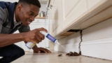 Effective Mosquito Plug-In Indoor Diffusers That Keep Bugs Away