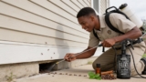 Effective Moth Sprays That Keep Closets Truly Bug-Free