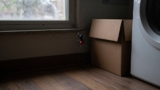 How to Get Rid of Spiders Naturally