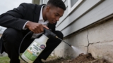 Top Outdoor Mosquito Yard Fogger and Sprayer Systems for Pest Control