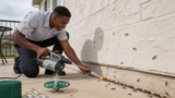 Effective Patio Bug Repellents That Keep Insects Away