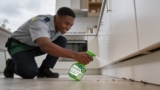 Safe Ant Killers for Pets in Your Home
