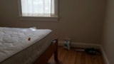 How to Prepare Your Home for Bed Bug Treatment