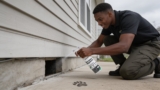 Effective Raccoon Repellent Sprays That Keep Unwanted Visitors Away