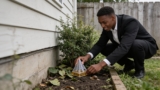 Effective Slug Traps That Keep Your Garden Worm-Free