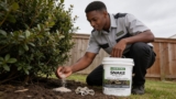 Effective Snake Repellent Granules That Keep Your Yard Safe