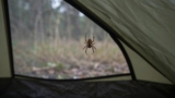 How to Keep Spiders Out of a Tent