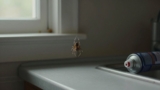 Why Do Spiders Keep Coming Back After Spraying