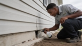 Effective Sticky Bug Traps That Keep Pesky Insects at Bay