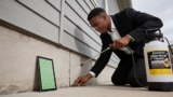 Effective Scorpion Traps with Sticky Glue That Really Work