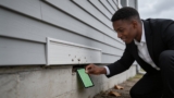 Effective Stink Bug Traps That Keep Your Home Smell-Free