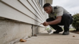 Effective Stink Bug Sprays That Keep Your Home Bug-Free