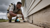 Effective Summer Bug Repellents That Keep Pests at Bay