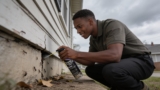 Effective Termite Killer Sprays That Protect Your Home
