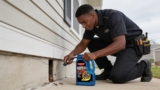Effective Termite Treatment Kits Every Homeowner Should Consider