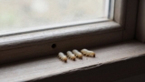 Can Termites Come Back After Treatment?